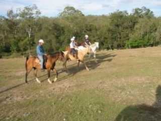  Reiten in der Bretagne